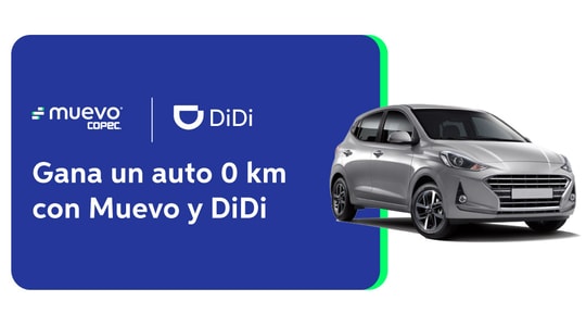 Imagen Noticia